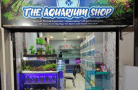 Exotic Aquatic