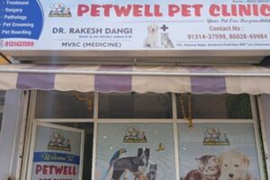 PetWell Pet Clinic and Surgery Center