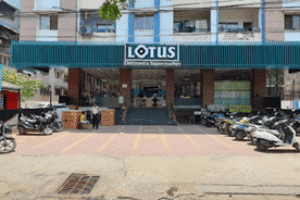 Lotus Electronics