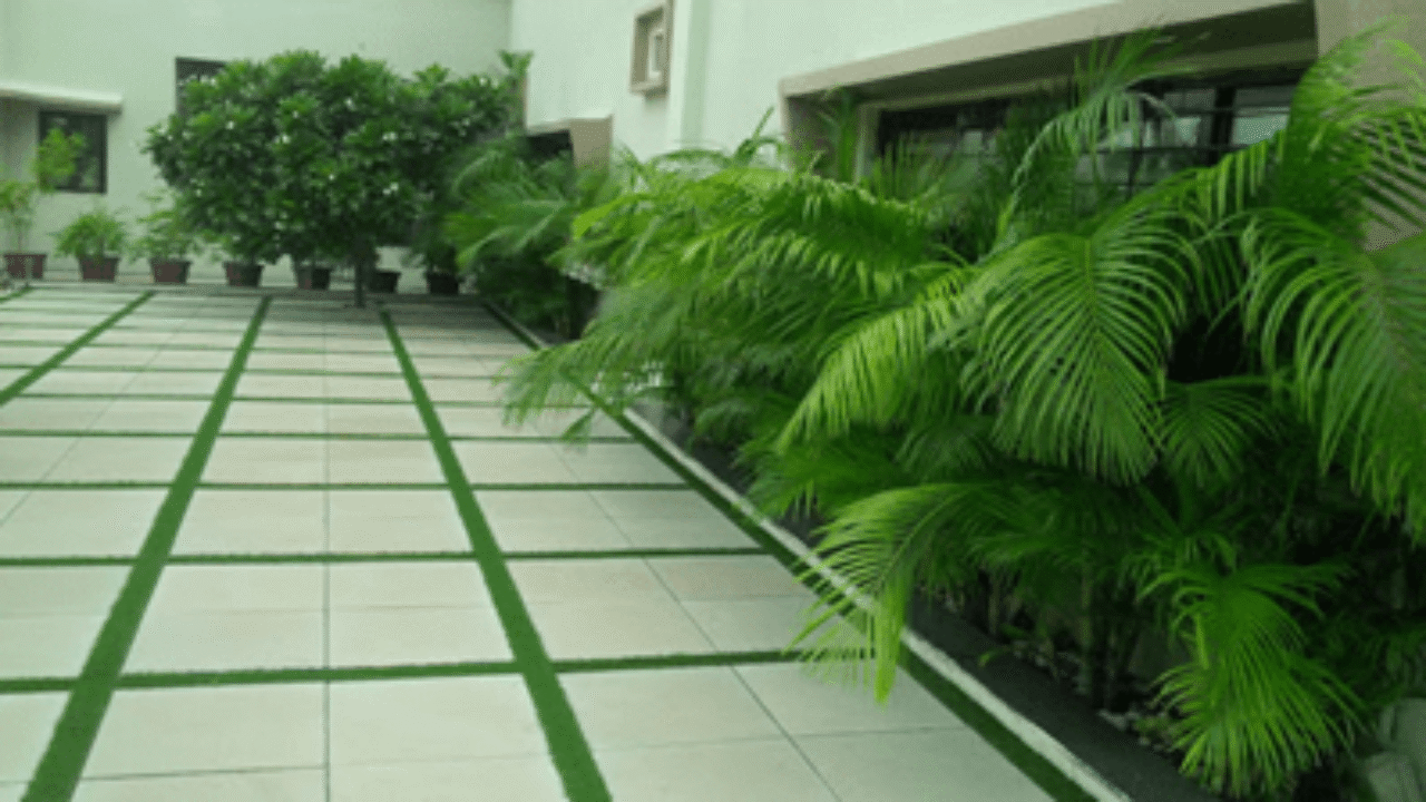 Shree Agro & Landscape Developers