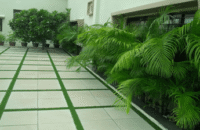 Shree Agro & Landscape Developers