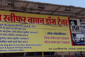 Bomb Sniffer Nachan Dog Trainer