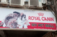 My Pet Mall